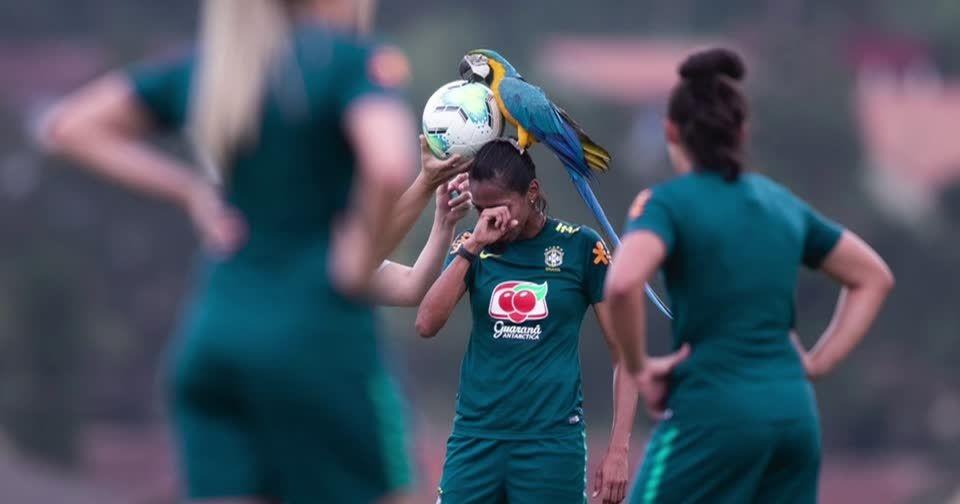 Сів на голову футболістці: папуга перервав тренування жіночої збірної Бразилії. ВІДЕО