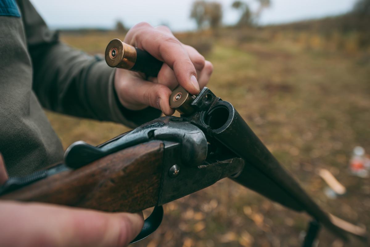 В Одеській області браконьєри застрелили лань із заповідного острова Єрмаків