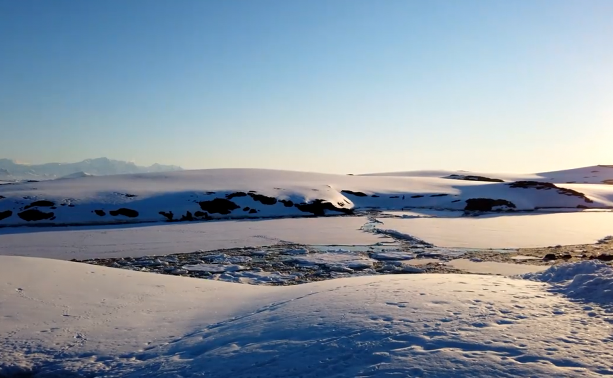 Українські полярники побачили в Антарктиді хвилі від вулкана у Тонга. ВІДЕО