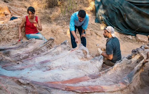 У Португалії знайшли найбільший у Європі скелет динозавра