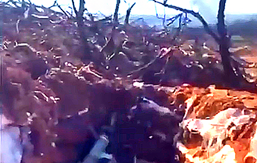 Випалена земля: в Міноборони показали відео з позицій ЗСУ під Бахмутом, де йдуть пекельні бої