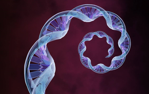 Биологи обнаружили в почве фрагменты ДНК неизвестной природы