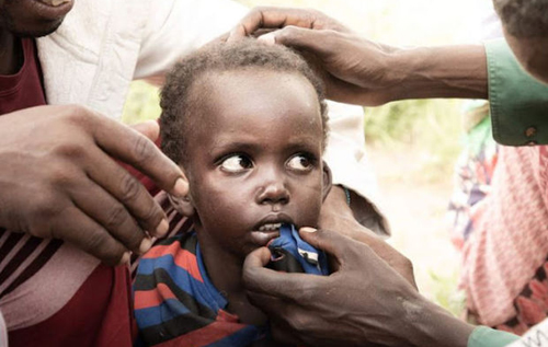 У Кенії чотирирічний хлопчик, що загубився, провів п’ять днів серед гієн і шакалів