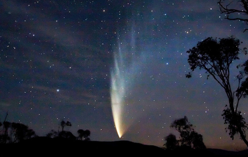 Американські вчені запропонували поширювати життя по Всесвіту за допомогою комет