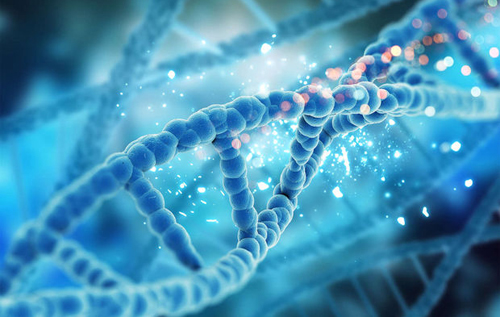 Вчені розробили засіб від раку на основі штучної ДНК