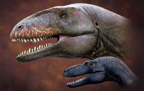 Ученые обнаружили останки неизвестного ранее гигантского динозавра, который жил 90 млн лет назад