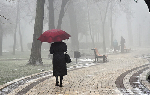Новий рік з дощем і туманами, а в перші дні року – справжня весна: синоптики дали прогноз на найближчі дні