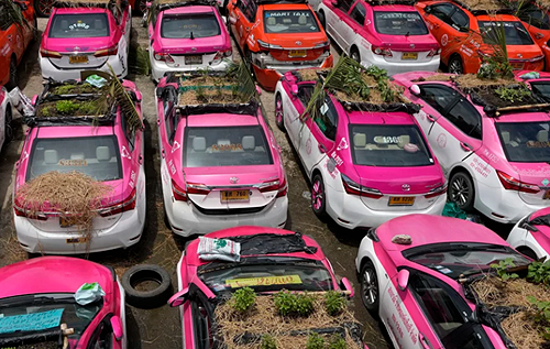 В Таиланде таксисты стали выращивать на крышах автомобилей овощи