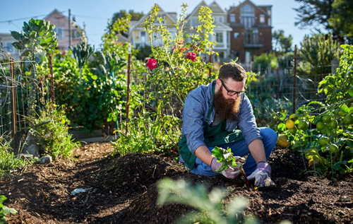 Заняття садівництвом може знизити ризик розвитку раку