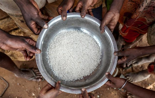 Мадагаскару грозит первый в мире голод, вызванный изменением климата, – ООН