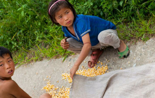 Хронічна нестача продовольства: Північній Кореї загрожує масовий голод, – CNN