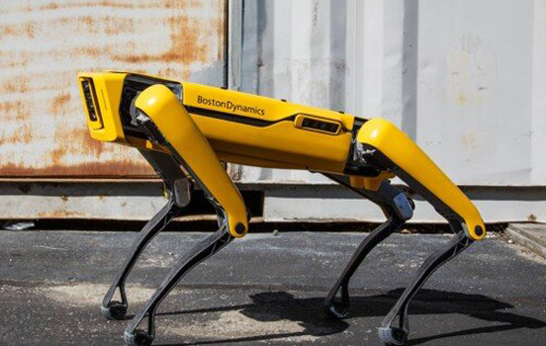 "Песик на самовигулі": в Києві помітили робота-собаку від Boston Dynamics на прогулянці. ВІДЕО