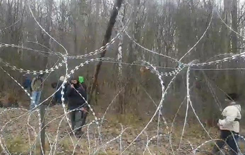 Со стороны Беларуси нелегалы атаковали польских пограничников. ВИДЕО
