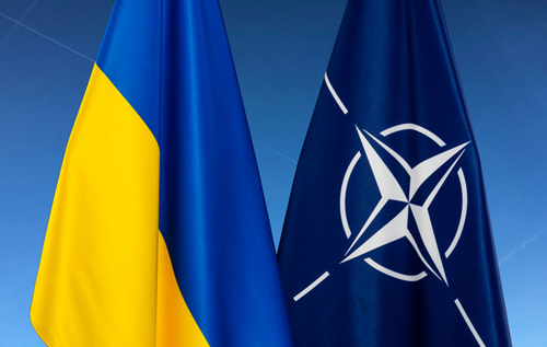 Україна хоче почути конкретний план вступу в НАТО, після перемоги процес має бути швидким, – заступник голови МО