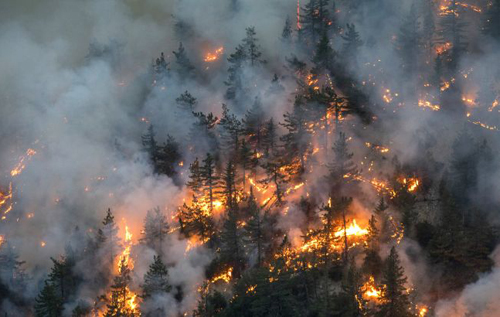 У Канаді не вщухають масштабні лісові пожежі: для боротьби з вогнем не вистачає рятувальників, – Reuters