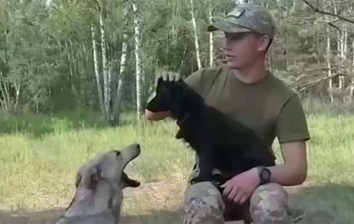 Перейшли на сторону добра: собаки з Білорусі стали на захист кордону України. ВІДЕО
