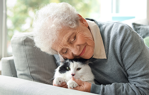 Домашні тварини знижують ризик деменції у самотніх людей похилого віку, – дослідження