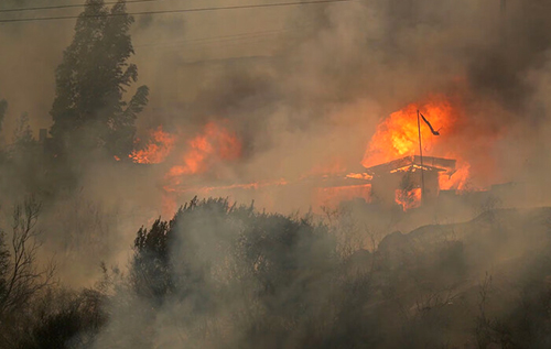 У Чилі через лісові пожежі загинула щонайменше 51 людина. ВІДЕО
