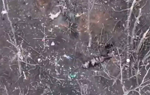 Окупанти біля Кліщіївки вбили беззбройних українських полонених: розпочато розслідування