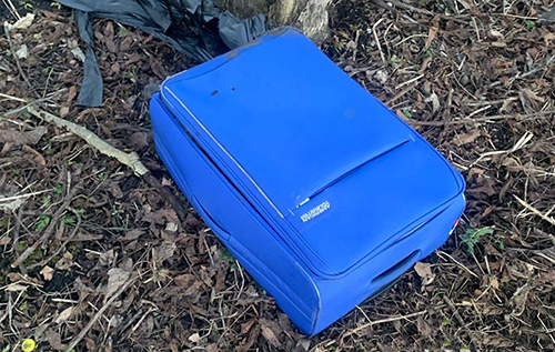 "Поховав" у валізі: у Тернополі чоловік викинув у парку тіло матері