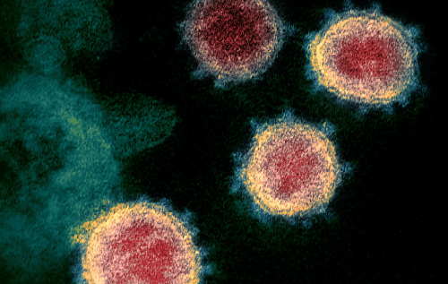 Вірус грипу А пригнічує розмноження Covid-19