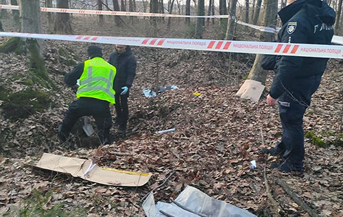 На Івано-Франківщині брат вбив сестру, а тіло закопав у лісі