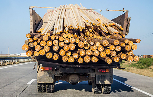 "Краще готуватись до найгіршого": губернатор Бєлгородщини запасається дровами та буржуйками. ВІДЕО
