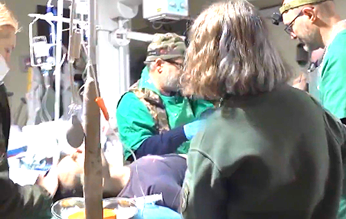 "Все буде добре": у мережі з'явилося відео, як лікарі рятують військових під обстрілами у Бахмуті