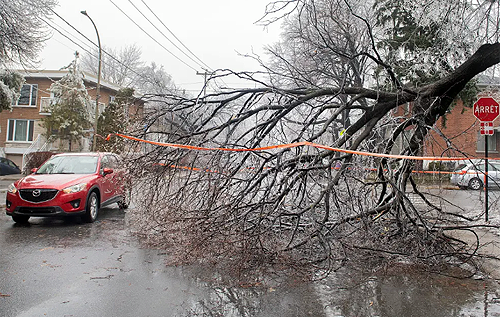 Канаду накрив крижаний шторм: понад 1 млн людей залишився без електрики у великодні вихідні, є жертви. ВІДЕО