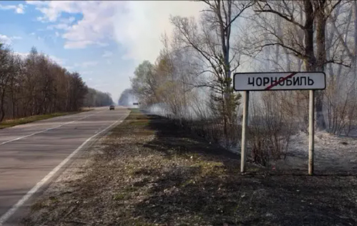 Радіація нижча за природню: на чорнобильських землях знову можна вирощувати врожай