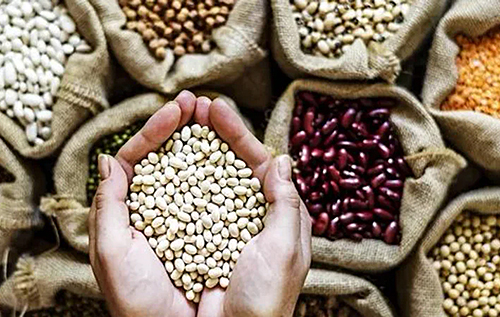 Вчені назвали продукт, який покращує раціон і допомагає контролювати вагу