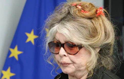 Стало відомо, де і коли поховають легендарну акторку Бріжит Бардо Стало відомо, де і коли поховають легендарну акторку Бріжит Бардо