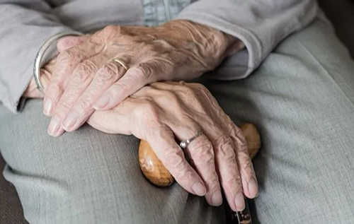 У пошуках секрету довголіття: вчені дослідили кров людей, які прожили понад 100 років У пошуках секрету довголіття: вчені дослідили кров людей, які прожили понад 100 років