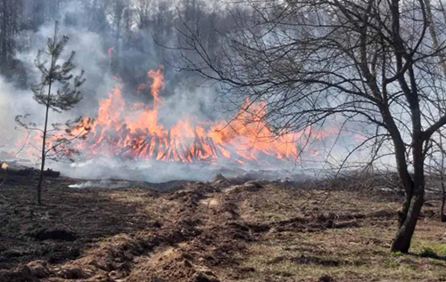 В Австралії вирують масштабні лісові пожежі: є зниклі безвісти