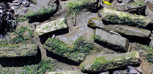 Збройова кузня імперії: у Північній Англії знайшли гігантський римський військовий завод