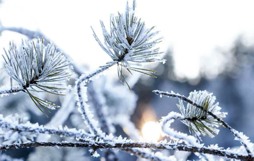 Морози відступають: коли в Україні почне теплішати