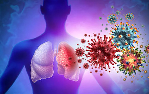 Смертність досягає 75%: у країнах Азії шириться вірус Nipah, перші випадки хвороби фіксують в Індії Смертність досягає 75%: у країнах Азії шириться вірус Nipah, перші випадки хвороби фіксують в Індії