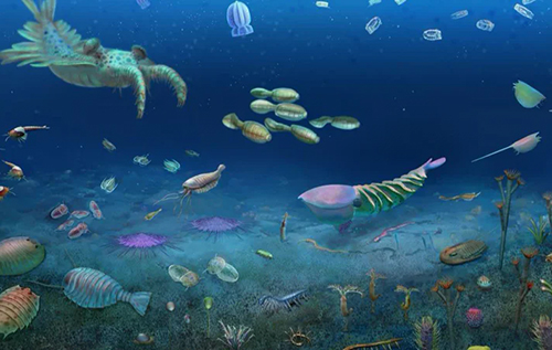 У Китаї знайшли скупчення скам’янілостей, яке показує відновлення життя після масового вимирання