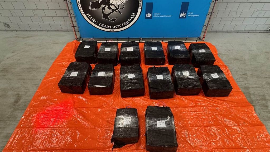 У Нідерландах у контейнері з манго виявили майже 500 кг кокаїну