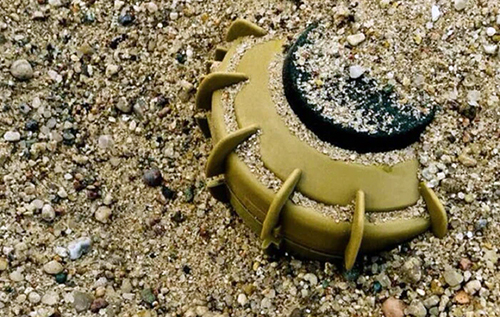 Польща офіційно вийшла з конвенції про заборону протипіхотних мін Польща офіційно вийшла з конвенції про заборону протипіхотних мін