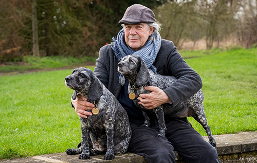 Британець продав два "мерседеси", щоб клонувати свою собаку після її смерті