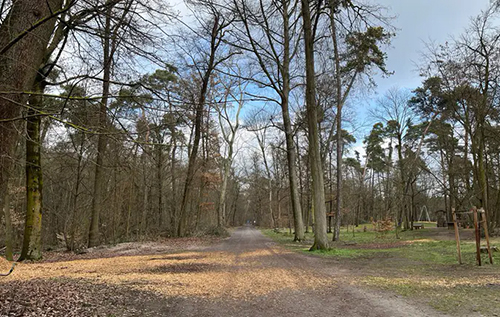 У Німеччині знайшли мертвою 19-річну українку: поліція затримала 17-річного підозрюваного у вбивстві