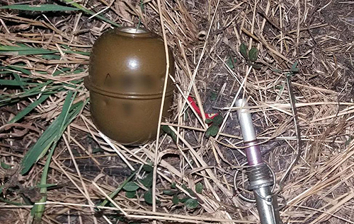 На Донбасі затримали п'яного неадеквата з гранатою