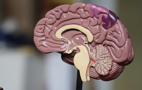 Магнітний гель проти інсульту: науковці розробили інноваційний метод захисту серця