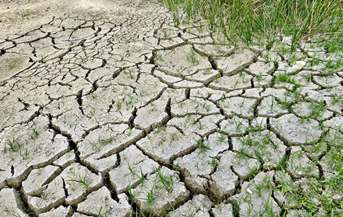 Кліматична аномалія: Європа нагрівається вдвічі швидше за решту планети