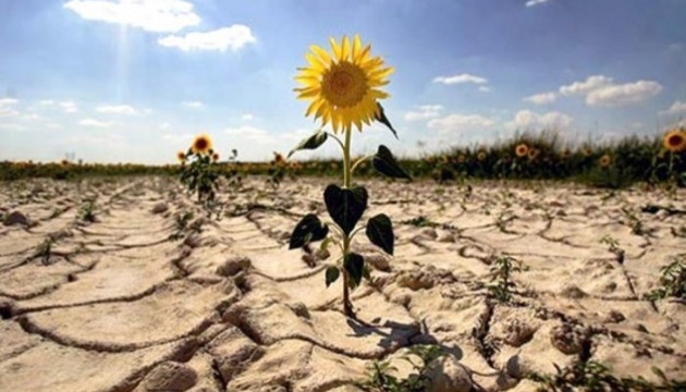 На ТОТ Херсонщини окупанти забороняють поливати водою городи, - журналіст На ТОТ Херсонщини окупанти забороняють поливати водою городи, - журналіст
