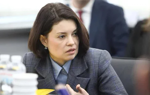 Уряд звільнив Лесю Карнаух з посади голови Податкової служби