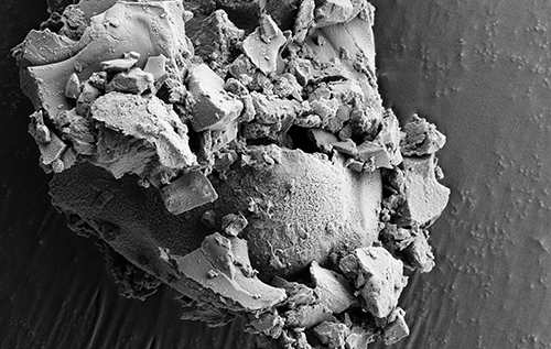 Рецепт віком 5000 років: в Анатолії знайшли найдавніший хліб із сочевицею