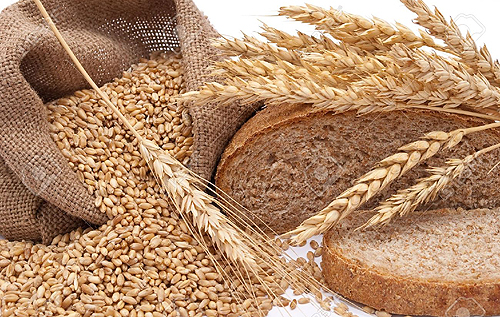 Зерна може не вистачити: озвучено тривожний прогноз щодо цін на хліб в Україні