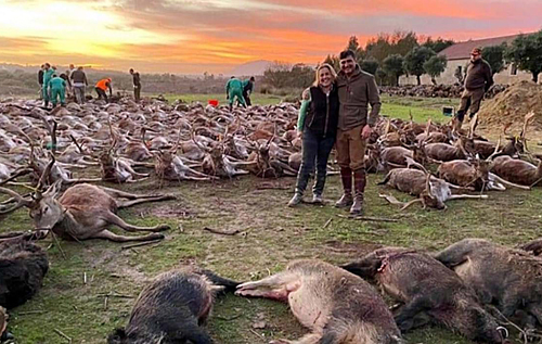 В Португалии охотники убили сотни животных и опубликовали их фото в Сети